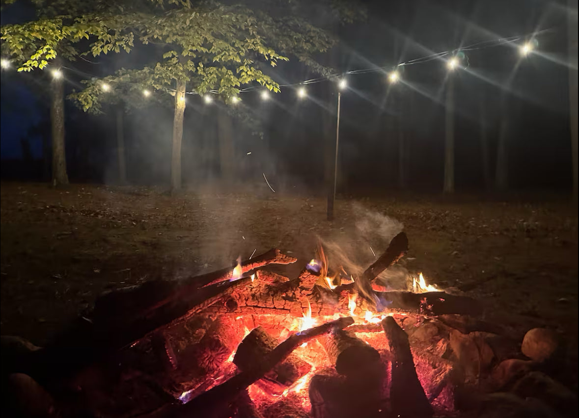 Our Michigan Book Retreat 2026🌲| Lake Huron ✨